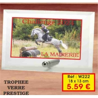 TROPHEE VERRE PRESTIGE : REF. W222 - 18 x 13 CM